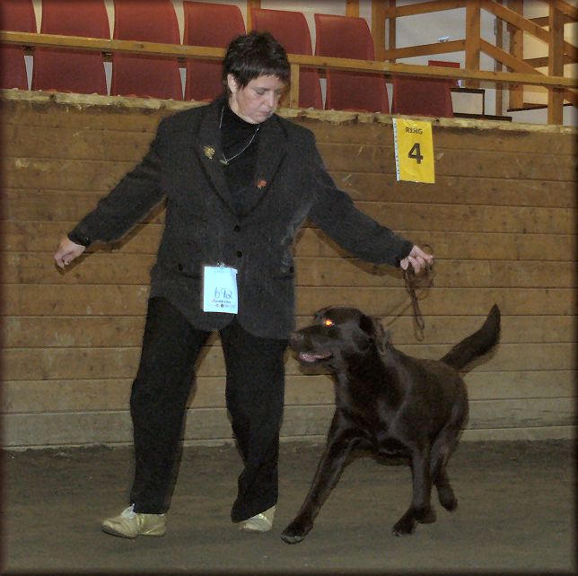 Tjottes Lover Under Cover Best of Breed at 20 months
